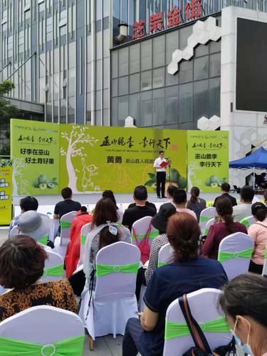 重慶李子年產量約68.8萬噸,脆李種植戶基本實現(xiàn)家門口就能投遞